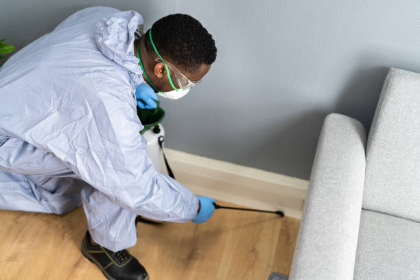 Best Pest Prevention Services  in Mechanicville, NY